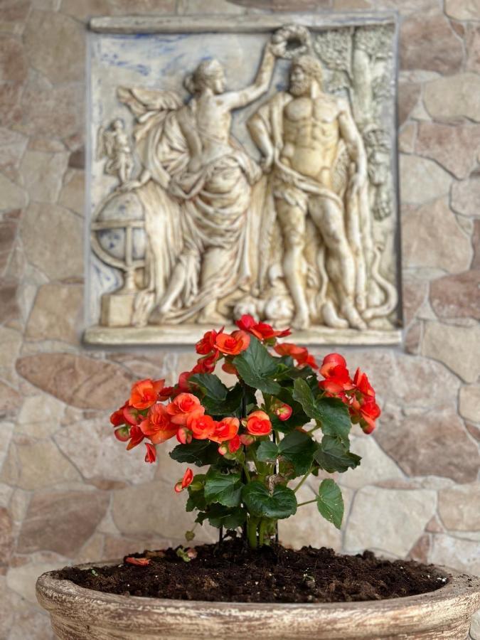 The Odyssey Holiday Home - Agios Ioannis, Pelion Agios Ioannis  外观 照片